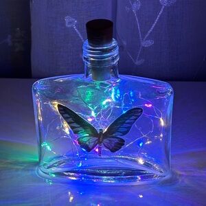 Butterfly Glass Bottle with LED Lights